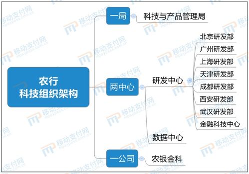 农行形成 一局两中心一公司 科技架构,企业掌银用户增长超51