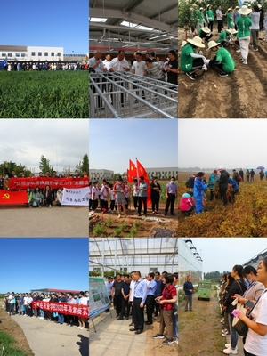 中国农业大学新闻网 学校要闻 中国农大涿州农业科技园区入选全国科普教育基地