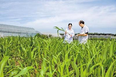 河北唐山:昔日斥卤之地 今朝染绿生金