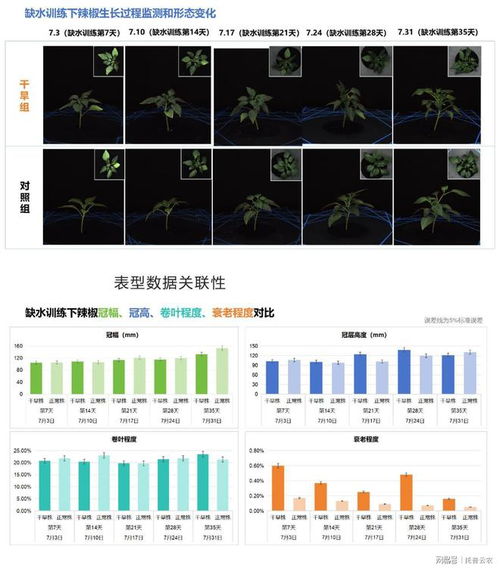 科技赋能农业,托普云农高通量植物表型平台,开启植物研究新篇章